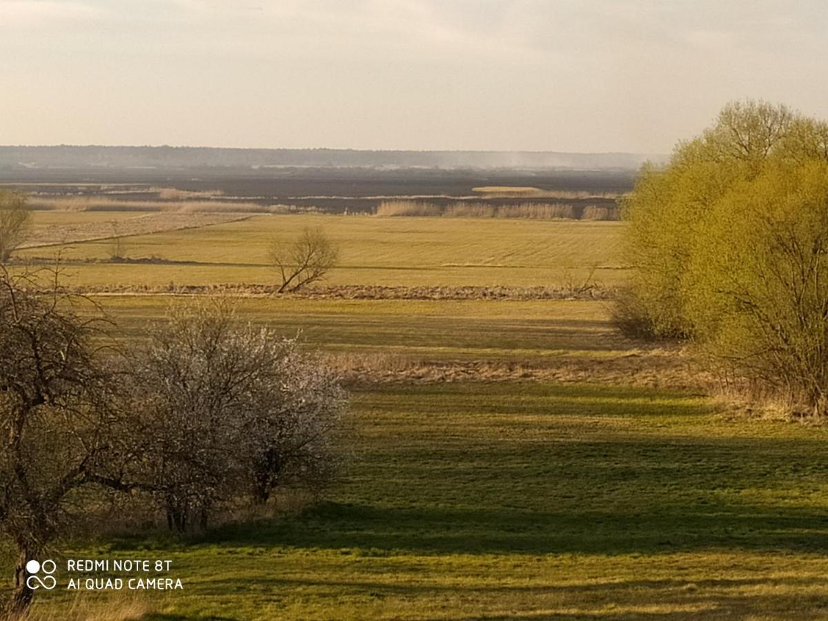 Dolistowka Apartamenty, Pole Namiotowe, Balia Z Jacuzzi, Ogrod Warzywny Dla Gosci, Plac Zabaw Dla Dzieci Goniądz Buitenkant foto