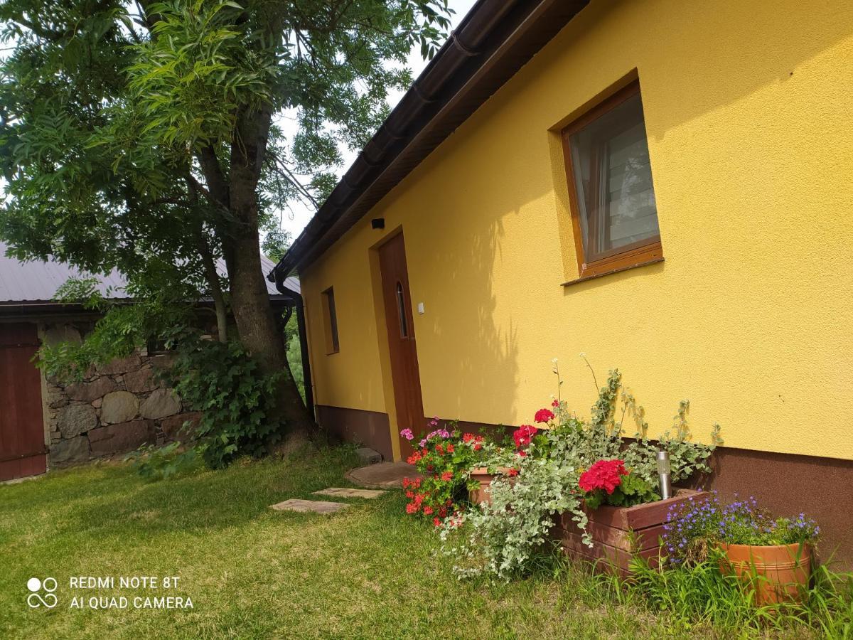 Dolistowka Apartamenty, Pole Namiotowe, Balia Z Jacuzzi, Ogrod Warzywny Dla Gosci, Plac Zabaw Dla Dzieci Goniądz Buitenkant foto