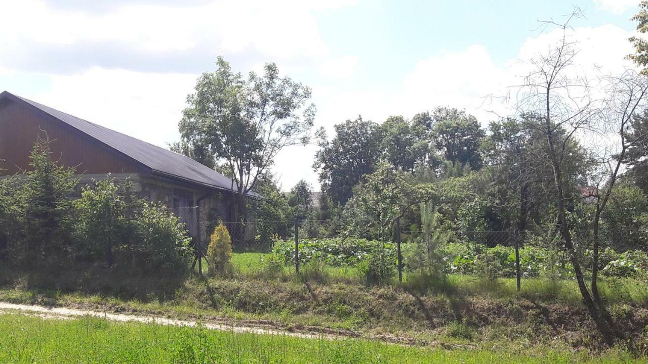 Dolistowka Apartamenty, Pole Namiotowe, Balia Z Jacuzzi, Ogrod Warzywny Dla Gosci, Plac Zabaw Dla Dzieci Goniądz Buitenkant foto