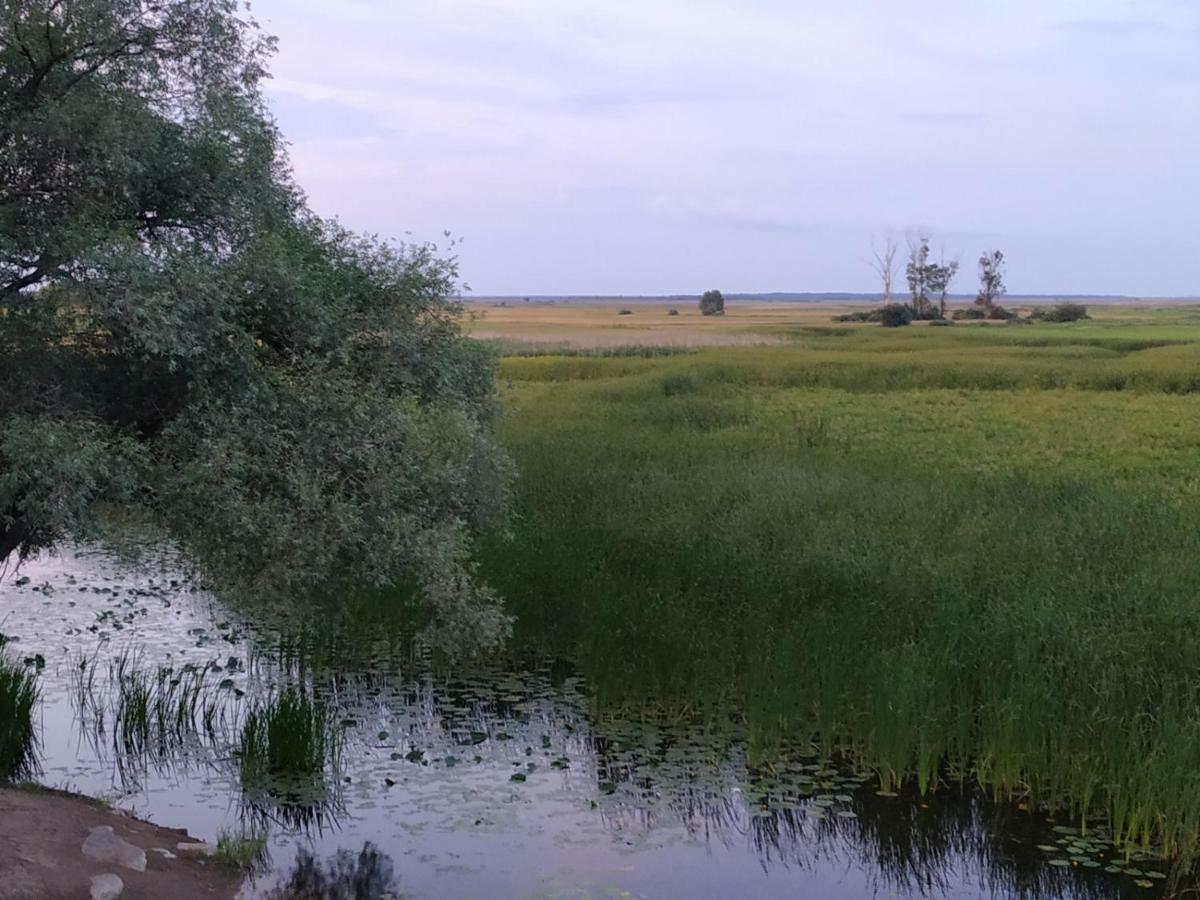 Dolistowka Apartamenty, Pole Namiotowe, Balia Z Jacuzzi, Ogrod Warzywny Dla Gosci, Plac Zabaw Dla Dzieci Goniądz Buitenkant foto